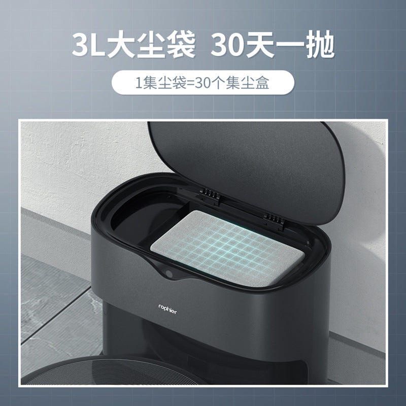 Intelligent Dust Collecting Sweeper